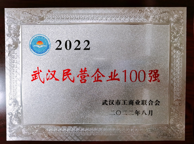 我司再度入選武漢民營百強榜